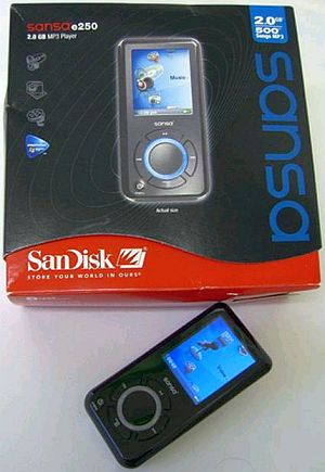SanDisk Sansa E250R Rhapsody Digital Music Player