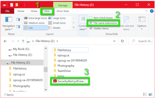 File name extensions checked
